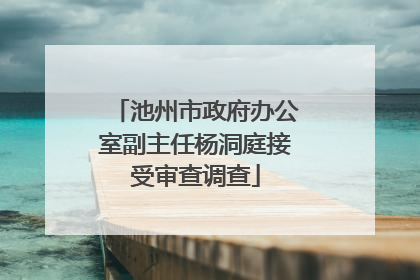 池州市政府办公室副主任杨洞庭接受审查调查