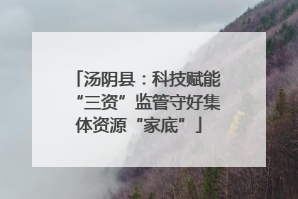 汤阴县：科技赋能“三资”监管守好集体资源“家底”