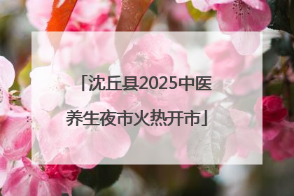 沈丘县2025中医养生夜市火热开市