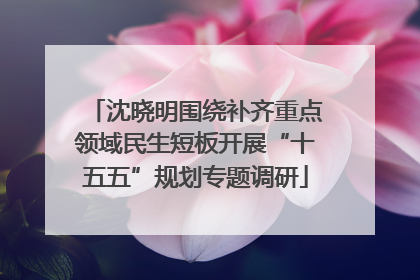 沈晓明围绕补齐重点领域民生短板开展“十五五”规划专题调研