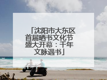 沈阳市大东区首届晒书文化节盛大开幕：千年文脉遇书