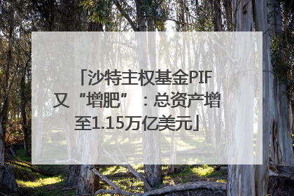 沙特主权基金PIF又“增肥”：总资产增至1.15万亿美元