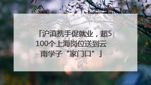 沪滇携手促就业，超5100个上海岗位送到云南学子“家门口”