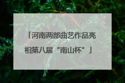 河南两部曲艺作品亮相第八届“南山杯”