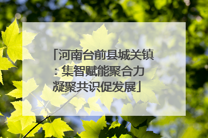 河南台前县城关镇：集智赋能聚合力 凝聚共识促发展