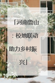 河南鲁山：校地联动助力乡村振兴
