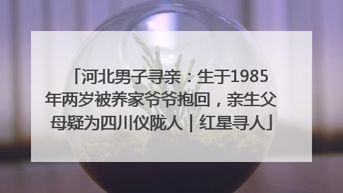 河北男子寻亲：生于1985年两岁被养家爷爷抱回，亲生父母疑为四川仪陇人｜红星寻人
