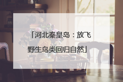 河北秦皇岛：放飞野生鸟类回归自然