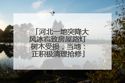 河北一地突降大风冰雹致房屋路灯树木受损，当地：正积极清理抢修