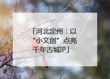 河北定州：以“小文创”点亮千年古城IP