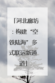 河北廊坊：构建“空铁陆海”多式联运新通道