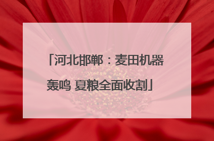 河北邯郸：麦田机器轰鸣 夏粮全面收割