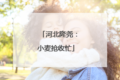 河北隆尧：小麦抢收忙