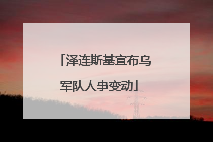 泽连斯基宣布乌军队人事变动