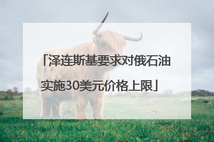 泽连斯基要求对俄石油实施30美元价格上限