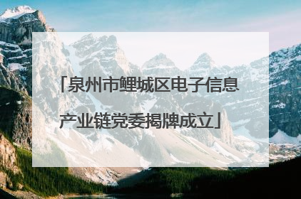 泉州市鲤城区电子信息产业链党委揭牌成立