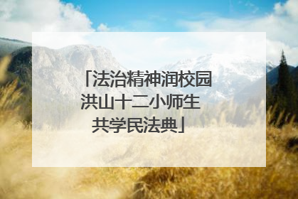 法治精神润校园 洪山十二小师生共学民法典