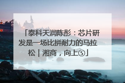 泰科天润陈彤：芯片研发是一场比拼耐力的马拉松｜湘商，向上⑤