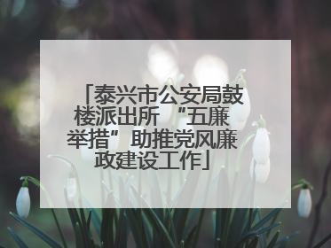 泰兴市公安局鼓楼派出所 “五廉举措”助推党风廉政建设工作