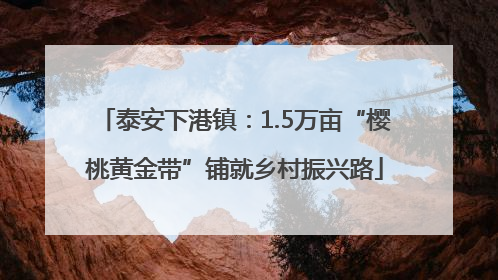 泰安下港镇：1.5万亩“樱桃黄金带”铺就乡村振兴路