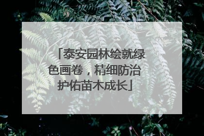 泰安园林绘就绿色画卷，精细防治护佑苗木成长