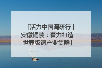 活力中国调研行丨安徽铜陵：着力打造世界级铜产业集群