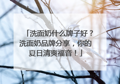 洗面奶什么牌子好？洗面奶品牌分享，你的夏日清爽福音！