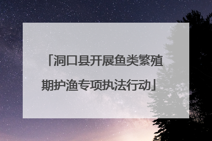 洞口县开展鱼类繁殖期护渔专项执法行动