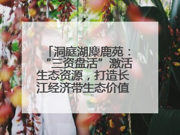 洞庭湖麋鹿苑：“三资盘活”激活生态资源，打造长江经济带生态价值转化新标杆