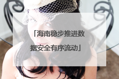 海南稳步推进数据安全有序流动