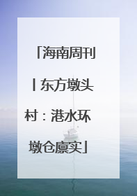 海南周刊丨东方墩头村：港水环墩仓廪实