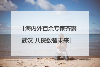 海内外百余专家齐聚武汉 共探数智未来