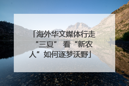 海外华文媒体行走“三夏” 看“新农人”如何逐梦沃野