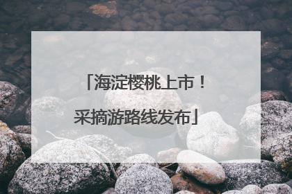 海淀樱桃上市！采摘游路线发布