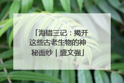 海错三记：揭开这些古老生物的神秘面纱｜盛文强