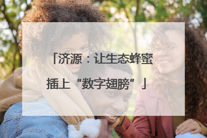 济源：让生态蜂蜜插上“数字翅膀”