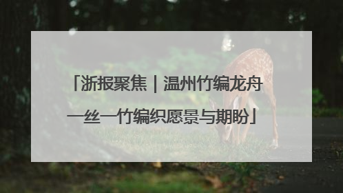 浙报聚焦｜温州竹编龙舟 一丝一竹编织愿景与期盼