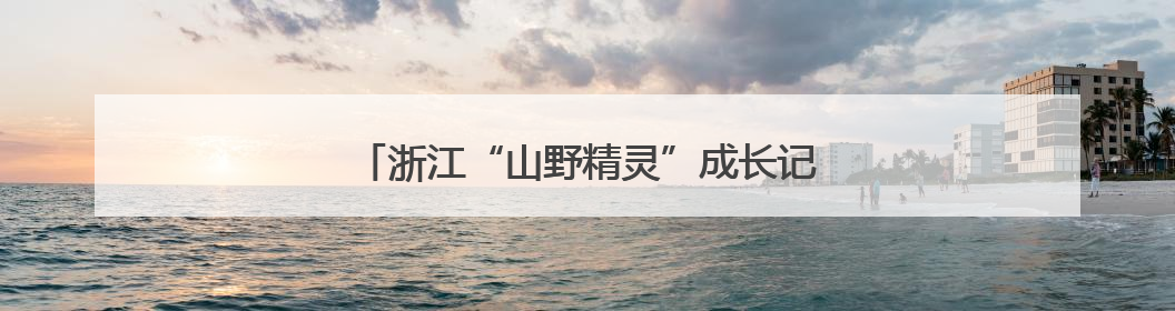 浙江“山野精灵”成长记：万物共生绘就和美画卷