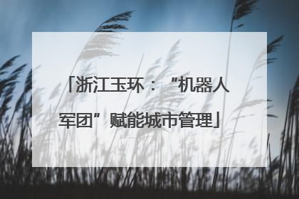 浙江玉环：“机器人军团”赋能城市管理