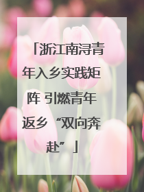 浙江南浔青年入乡实践矩阵 引燃青年返乡“双向奔赴”