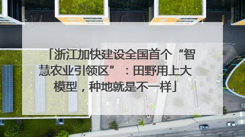 浙江加快建设全国首个“智慧农业引领区”：田野用上大模型，种地就是不一样