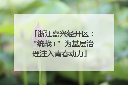 浙江嘉兴经开区：“统战+”为基层治理注入青春动力
