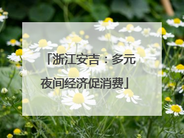 浙江安吉：多元夜间经济促消费