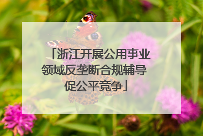 浙江开展公用事业领域反垄断合规辅导 促公平竞争