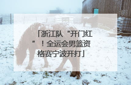 浙江队“开门红”！全运会男篮资格赛宁波开打