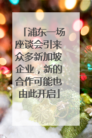 浦东一场座谈会引来众多新加坡企业，新的合作可能也由此开启