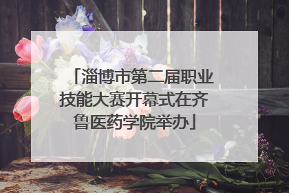 淄博市第二届职业技能大赛开幕式在齐鲁医药学院举办