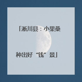 淅川县：小果桑种出好“钱”景