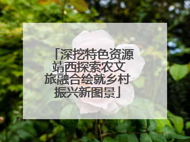 深挖特色资源 靖西探索农文旅融合绘就乡村振兴新图景