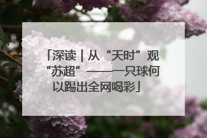 深读｜从“天时”观“苏超”——一只球何以踢出全网喝彩